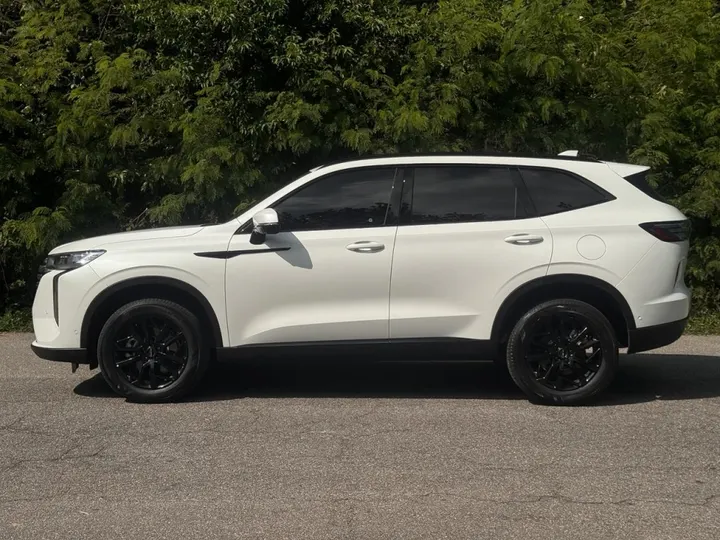 GWM HAVAL H6 — foto 11