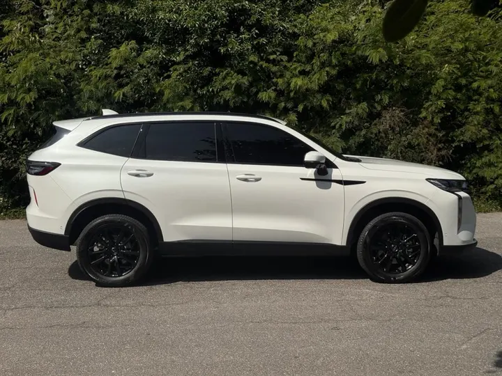GWM HAVAL H6 — foto 10