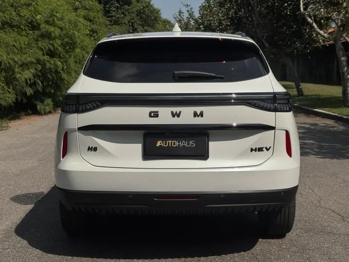 GWM HAVAL H6 — foto 15