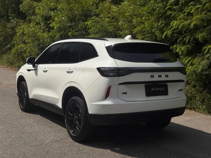 GWM HAVAL H6 — foto 16